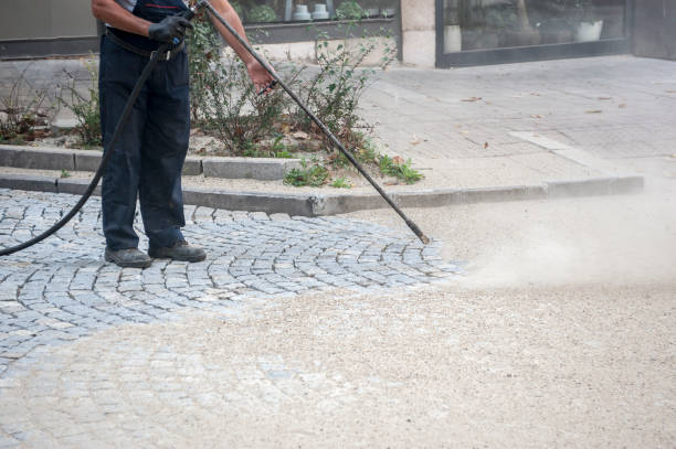 Best Driveway Pressure Washing  in Prien, LA